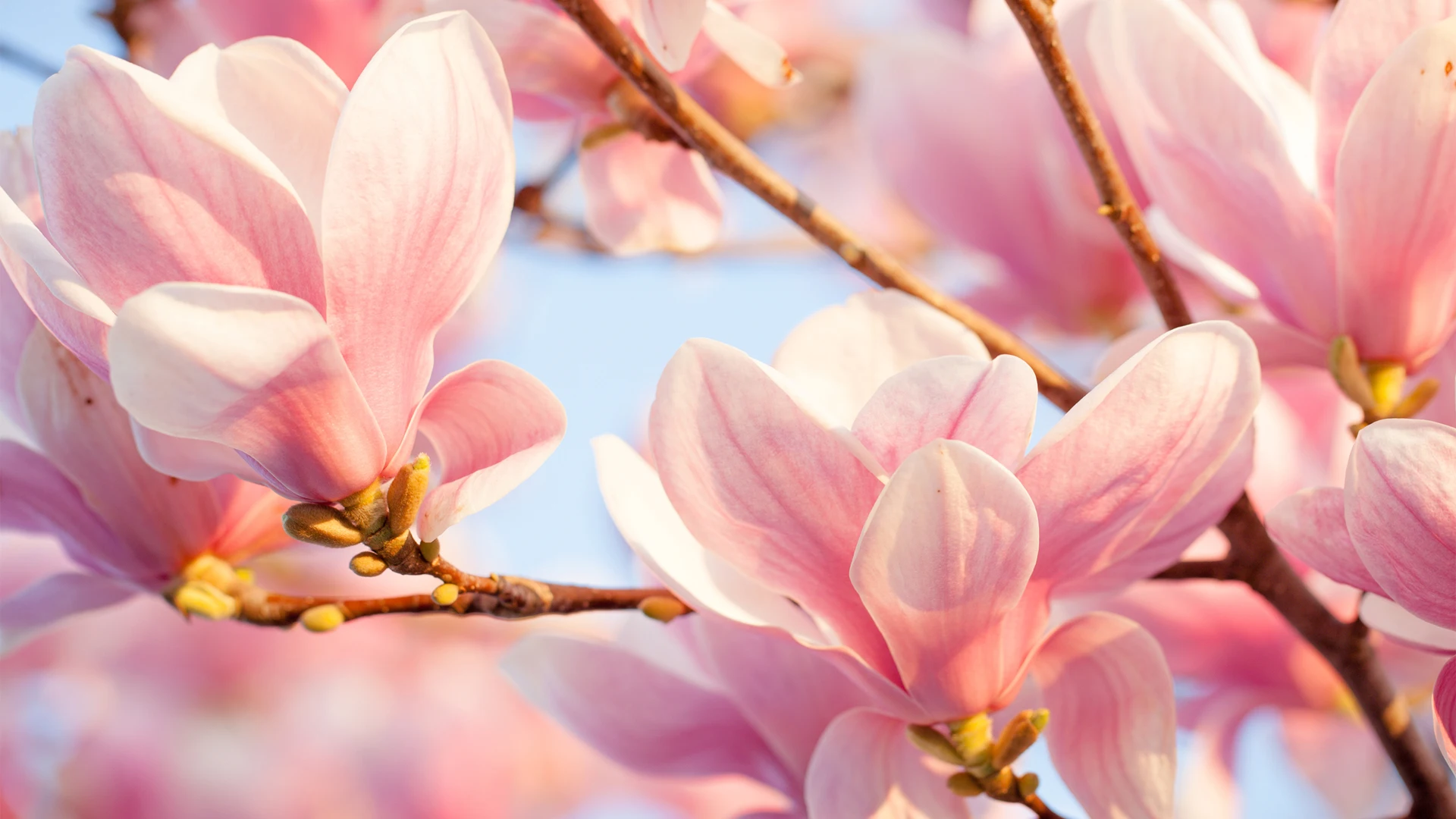 39 T Front Direct Koppeling Set Front Differentieel 22047 voor Tamiya TT02 XV02 XM01 1/10 RC Auto Upgrade onderdelen Accessoires