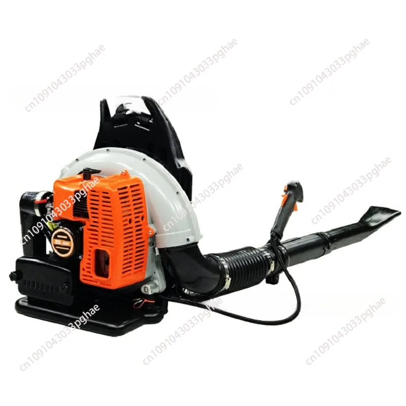 EB650 Gasoline Hair Dryer, 2-Cycle Backpack Leaf Blower, Powerful Clearing Performanc