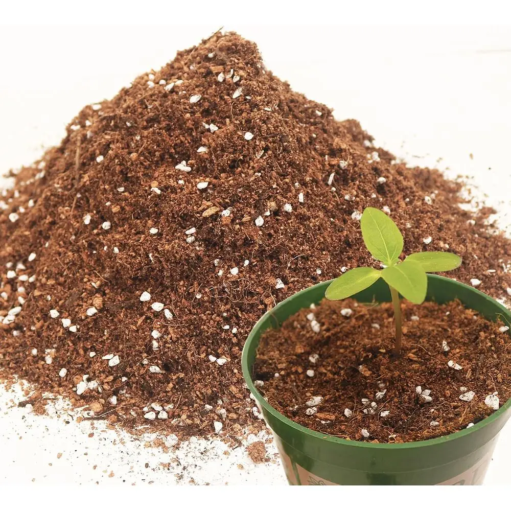Potting Soil Mix for Indoor Plants - Contains Perlite, Peat Moss, Coir & Rice Charcoal, Natural & Organic Material with Well-Dra