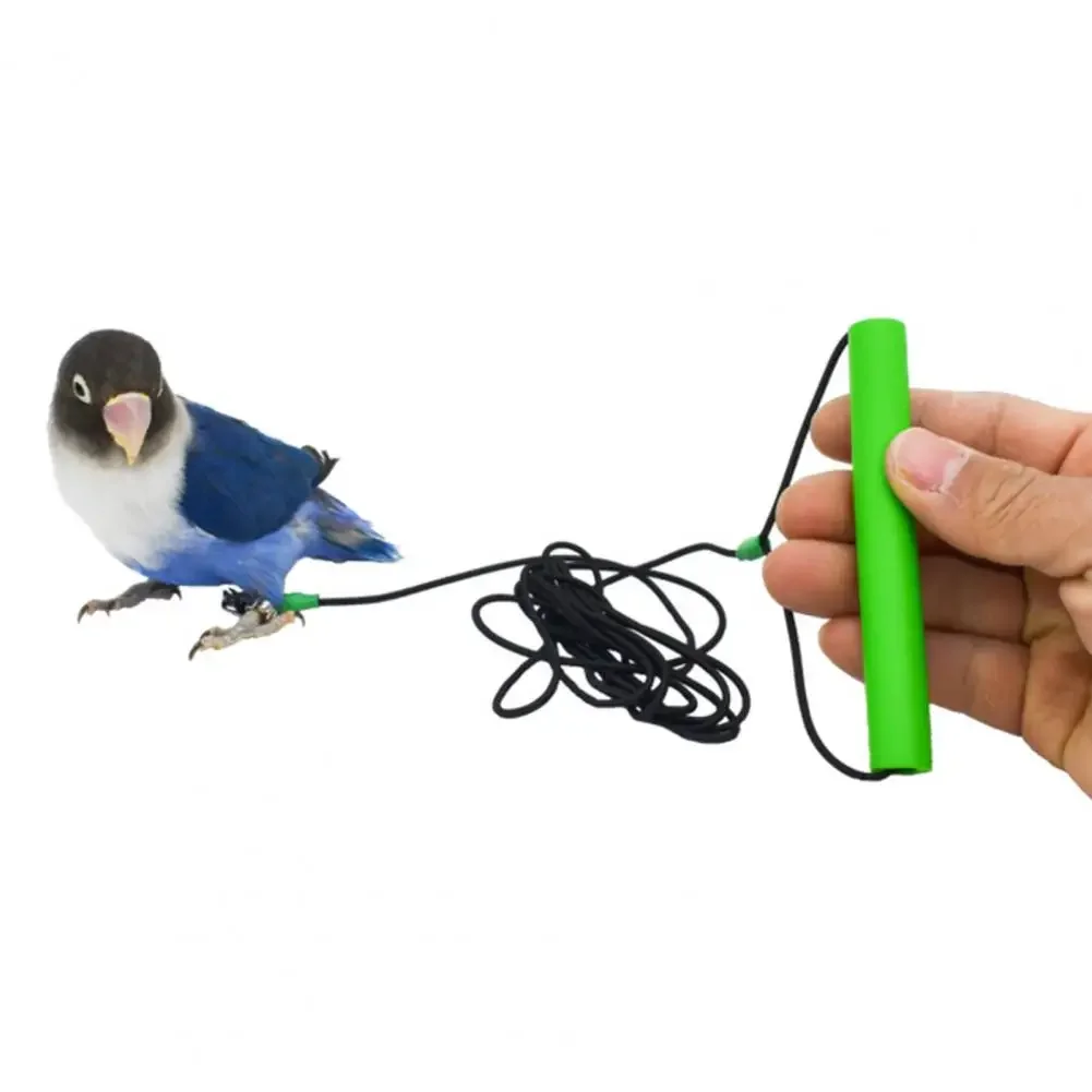 2-6M Anti-bite Flying Training Rope Parrot Bird Outdoor Flying Traveling Elastic Walking Rope Portable Pet Bird Harness Strap