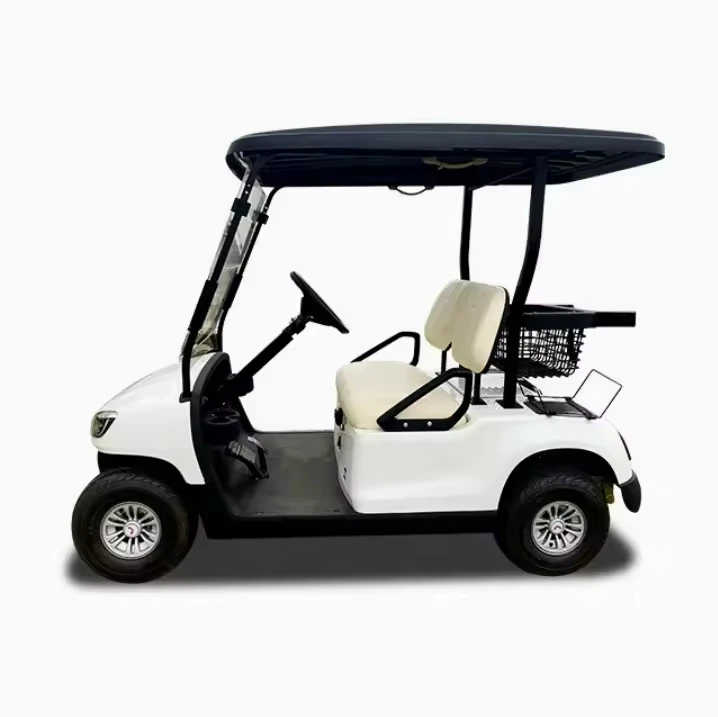Golf Cart Rear Seat Electric Golf Push Cart Single Rider Golf Cart