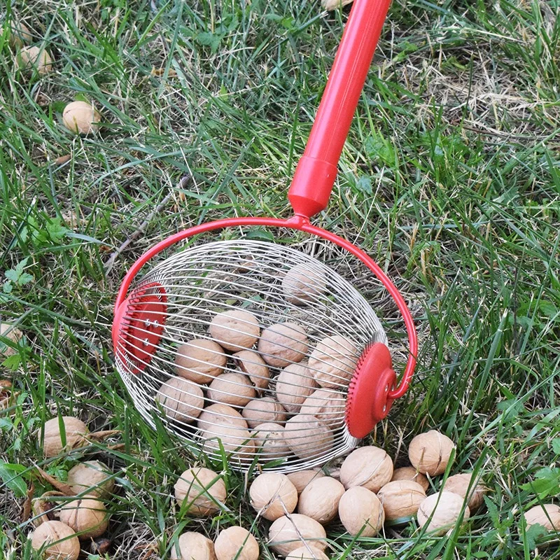 ramasseur-de-noix-roulant-outil-manuel-leger-et-reglable-pour-la-collecte-de-noix-de-pecans-de-balles-de-golf-et-de-balles-de-sport-en-exterieur