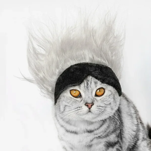 

Pet Wig Hat Cosplay | Dog Cat Headwear | Funny Party Accessory Pet Hair Accessories