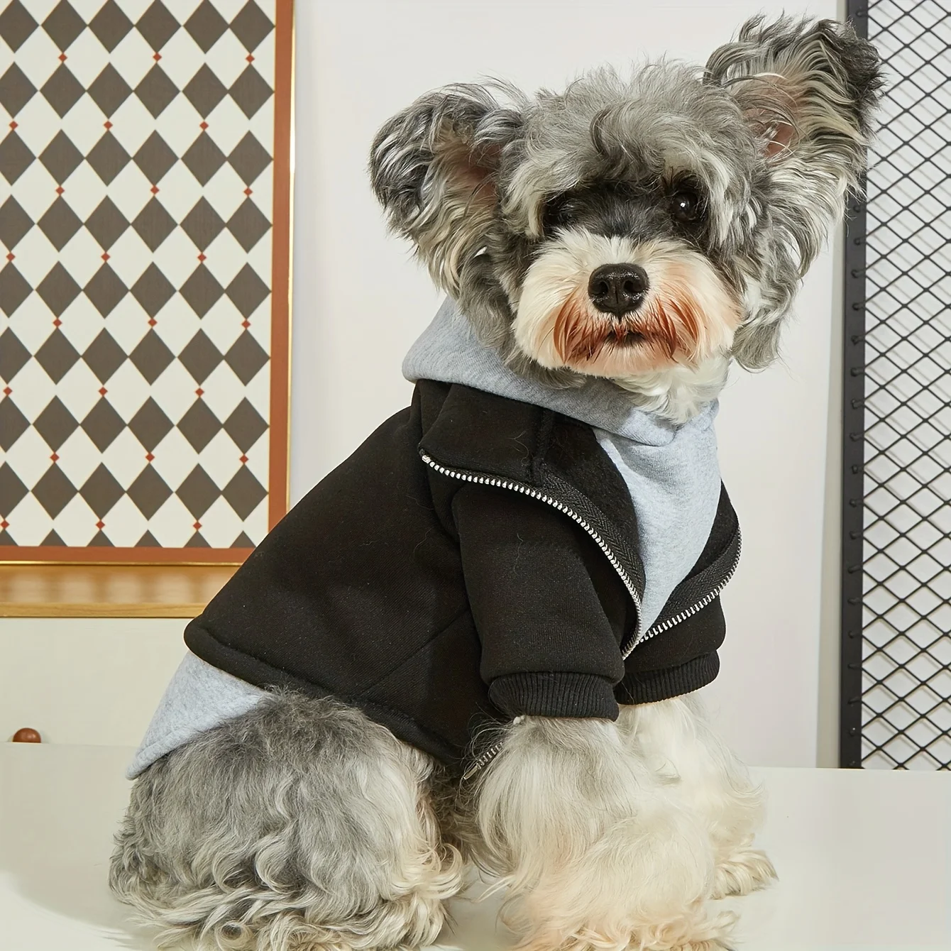 Winter-Hundekleidung, warme Haustier-Kapuzenpullover, modischer, bequemer Hundemantel für kleine und mittelgroße Hunde – Detail 3