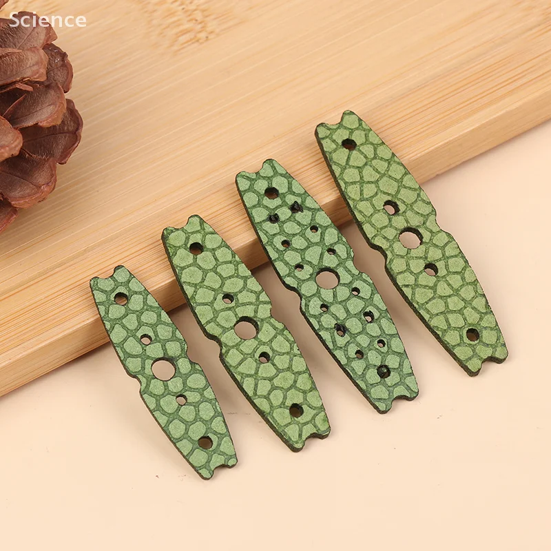 

Общий 20 шт., чехол для мяча, рогатка, резиновый латексный ремешок, искусственная кожа, аксессуары для уличной стрельбы