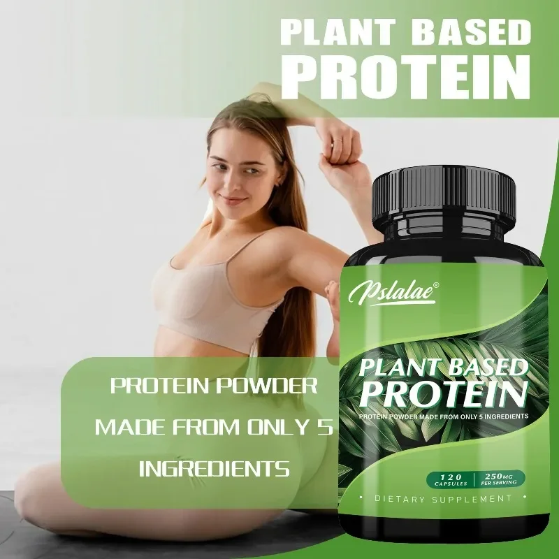 

Plant Based Protein Supplement - Reduces Gas and Bloating, Promotes Intestinal And Digestive Health, Antioxidant