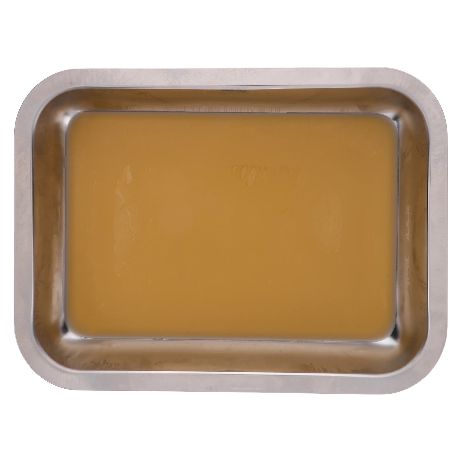

Stainless Steel Dissection Pan Lab Disk Polished Medical Dental Tray for Research Teaching Biological