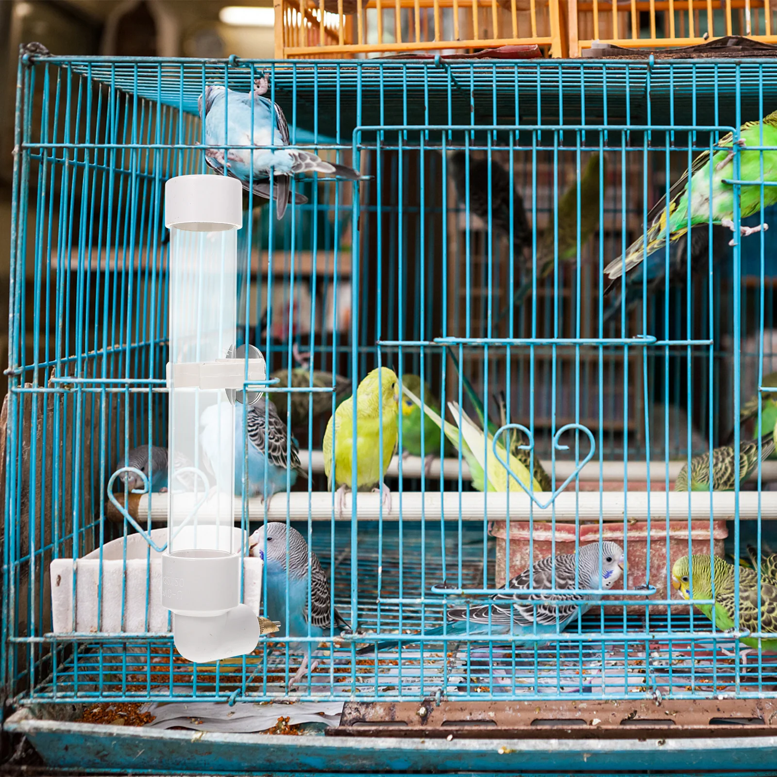 

Plastic Parrot Water Feeder Automatic Bird Cage Accessory Durable Hanging Bottle for Pigeons Easy Creative Pet Tool