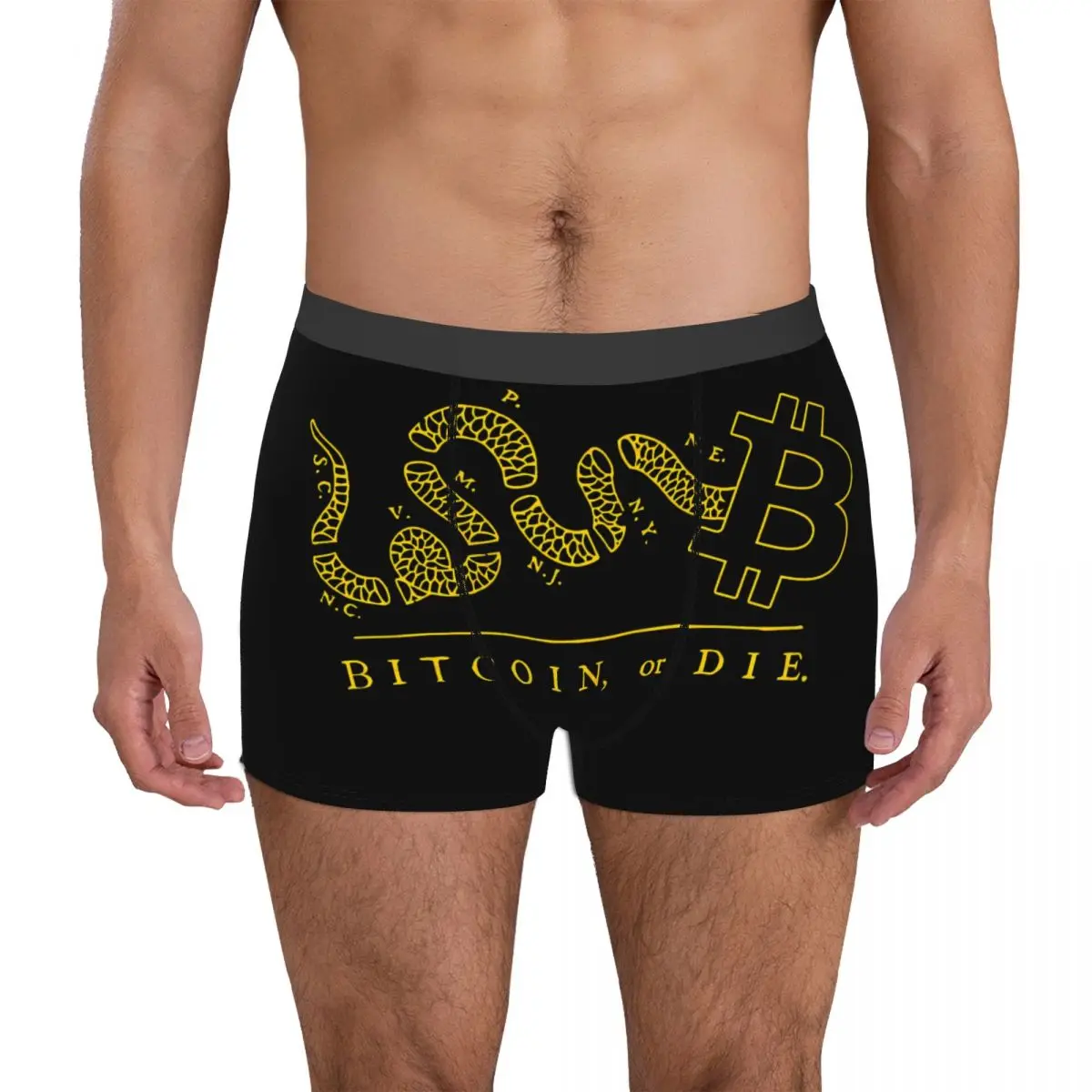 Exotic Underclothes Bitcoin Cryptocurrency Meme Vs Art 6 Autumn Wearable Men's Boxer Briefs Funny Humor Graphic