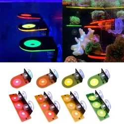 Fish Tank Fluorescent Coral Frag Bracket Coral Growing Holder Acrylic Coral Rack Marine Reef Stand Aquarium Accessories