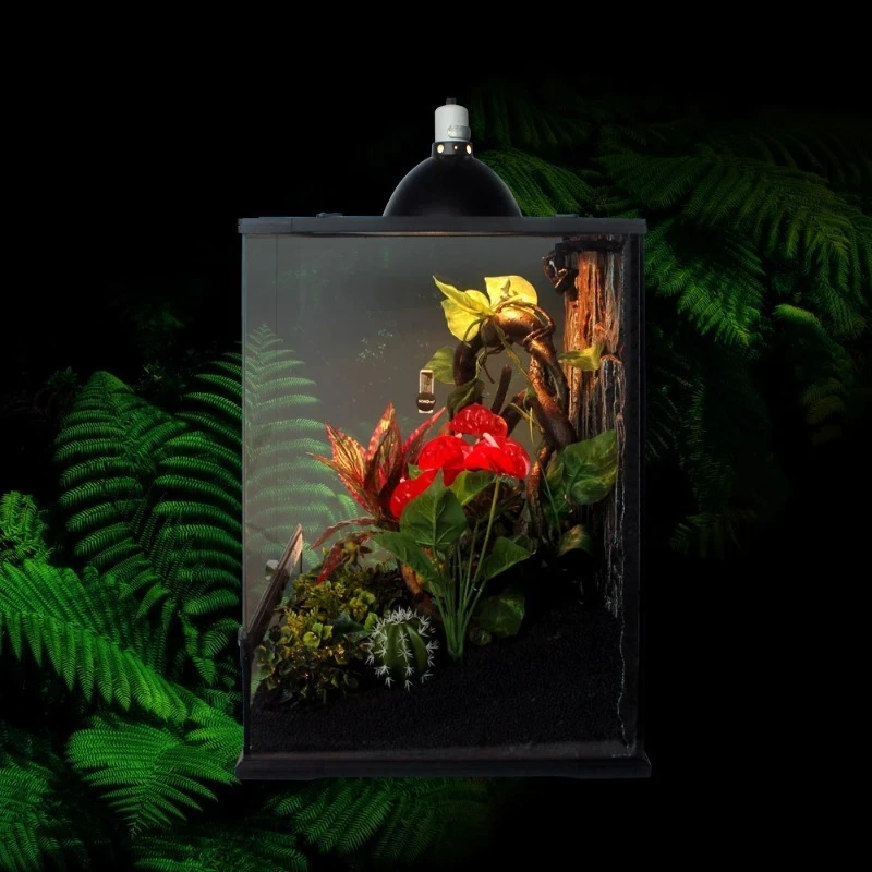 Premium New Reptile…