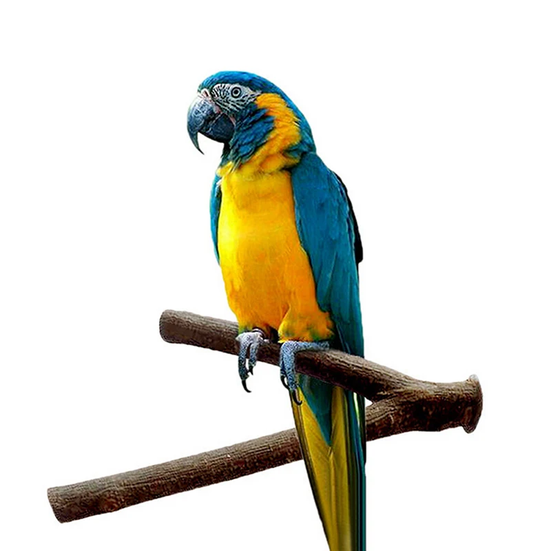 Pet Parakeet Budgie Hanging Play Toys Bird Cage Wood Branch Stand Perches Parrot Wooden Resk Holder Platform