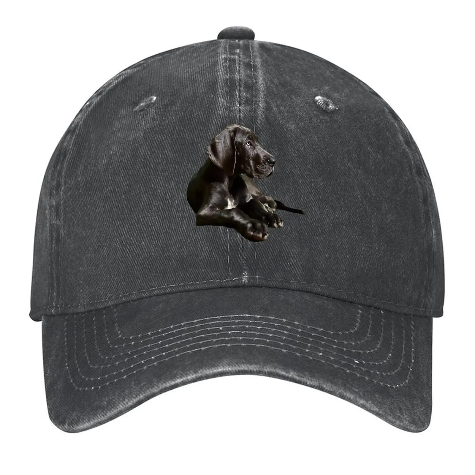 

Black Great Dane - Fantastic Beauty! Baseball Cap Streetwear Trucker Hat Hat Baseball Cap Luxury Brand Caps For Men Women's