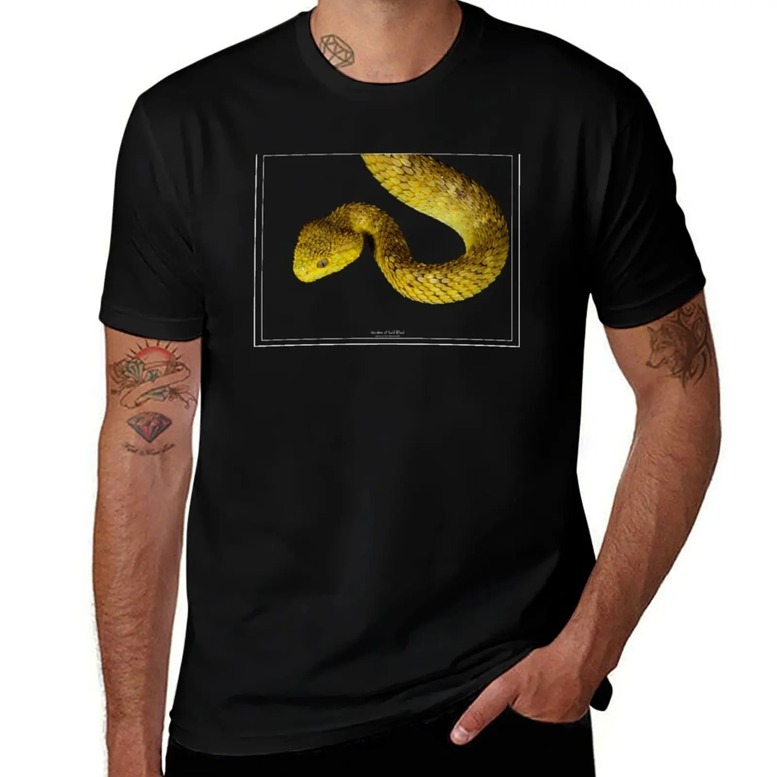 

Variable Bush Viper - Atheris squamigera T-Shirt vintage vintage clothes blue archive clothes for men