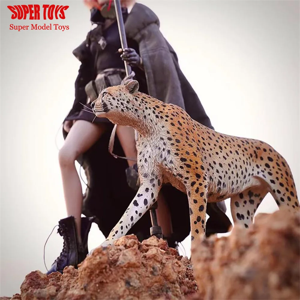 

In Stock JXK115 JXK116 1/6 Scale Acinonyx Jubatus Cheetah Resin Animal Model Scene Accessories for 12 Inch Solider Action Figure