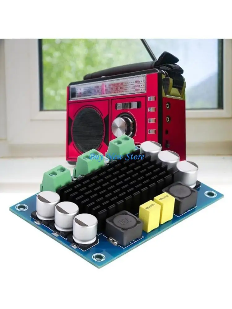 

20CE Upgrades Single Channel Digital Amplifier Board 100W TPA3116D2 Chip Control Power Amplifier Board for Sound System