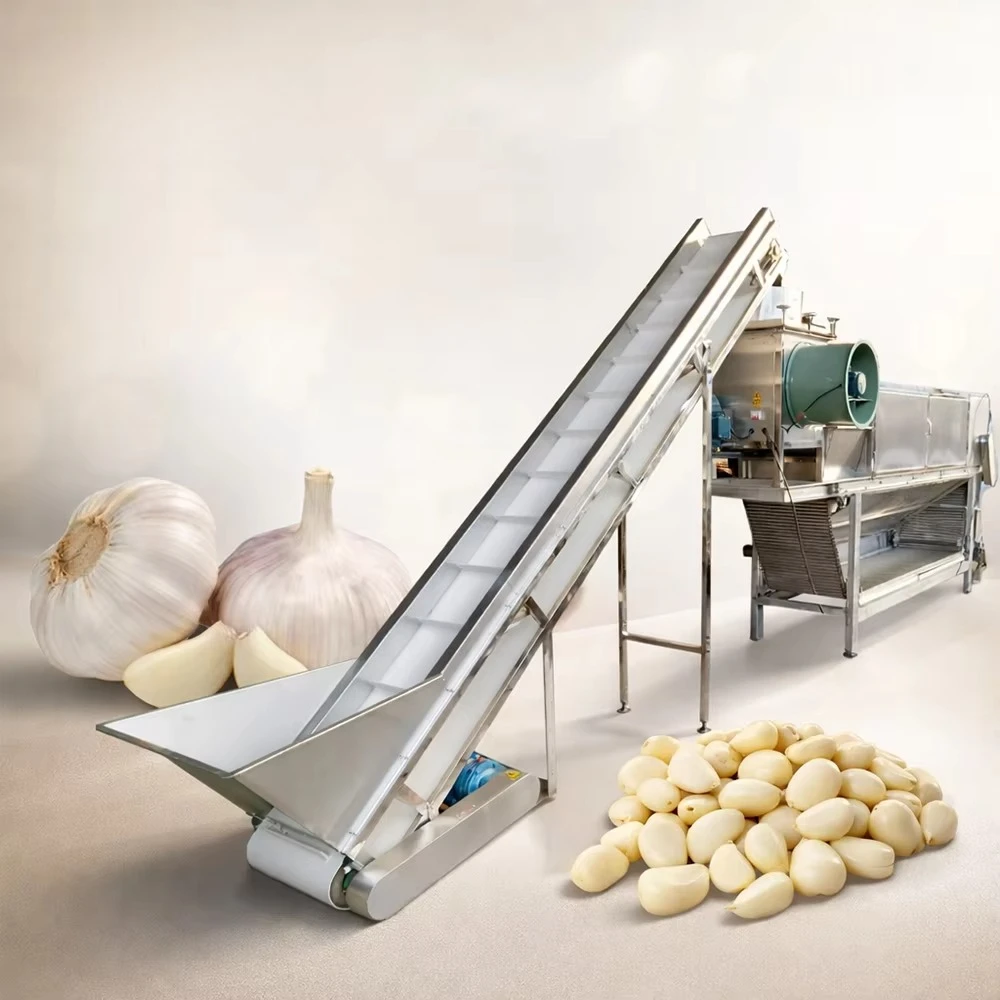 FOODLINE Overseas Agent Exclusive Garlic Peeling Machine Auto Separate Skin Clove Stable Agricultural Processing Gear