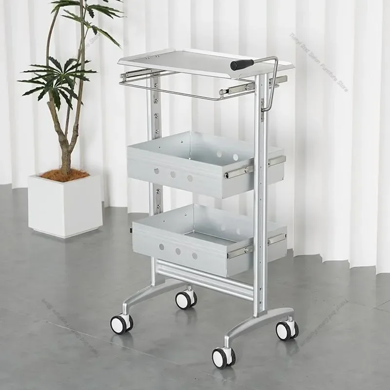 Professional Hair Salon Rolling Cart Multifunction Nordic Creativity Salon Trolley Barber Shop Hair Salon Furniture Carrinho FYS