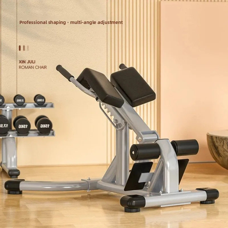 CX Commercial Fitness Equipment Roman Stool Professional Waist Abs Back Muscle Trainer Household