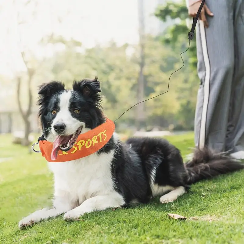 طوق بكلاب مع المقاود 2 في 1 طوق المقاود مجموعة قابل للتعديل مضغ برهان الهروب برهان تسخير للتحكم في نباح التنزه الجري