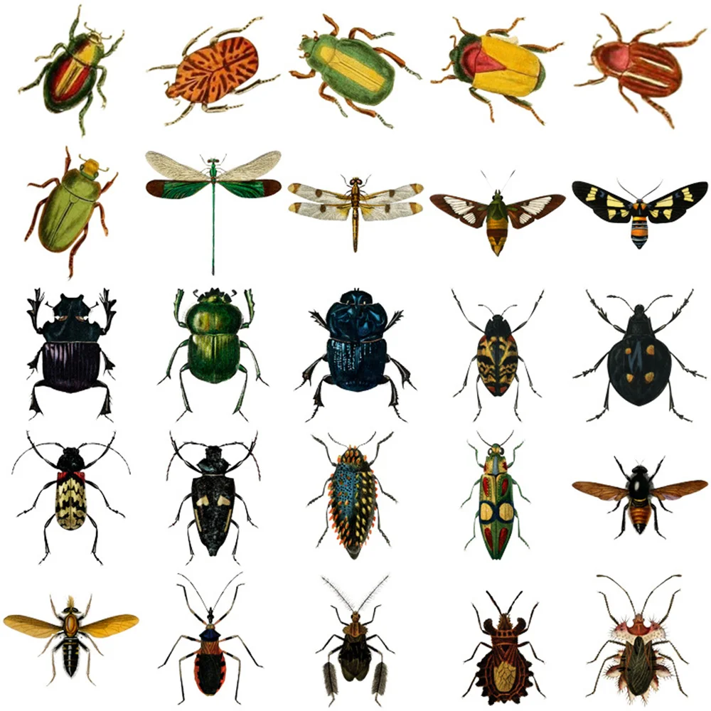 60pcs Vintage Insect Stickers Pack Stationery Laptop Guitar Phone Suitcase Ipad DIY Sticker Handmade Journaling Materials