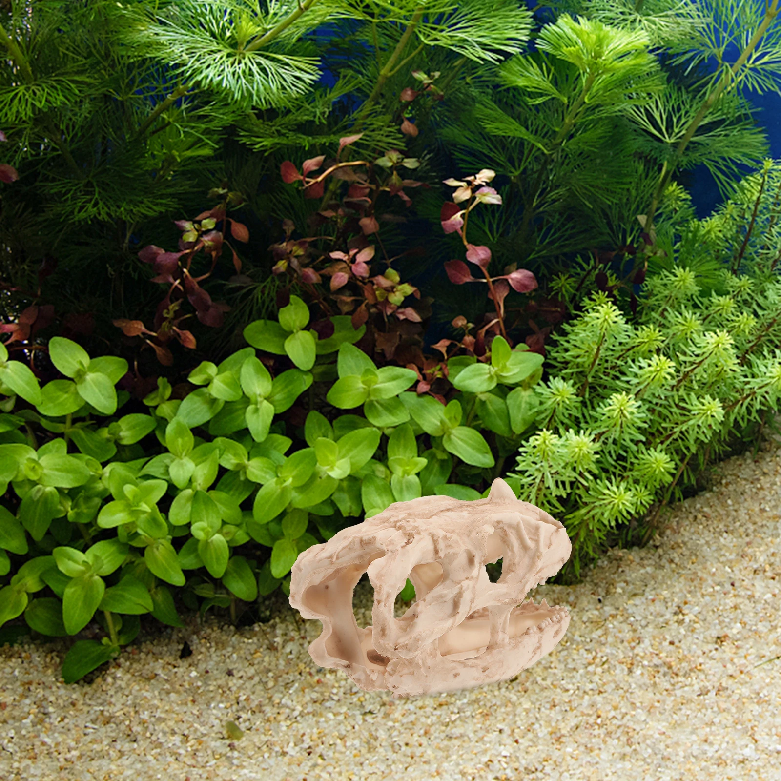 

Decorative Dinosaur Skull Resin Fish Tank nament Easy Clean Hideout Vibrant Color Lifelike Underwater L scape Aquarium Packaging