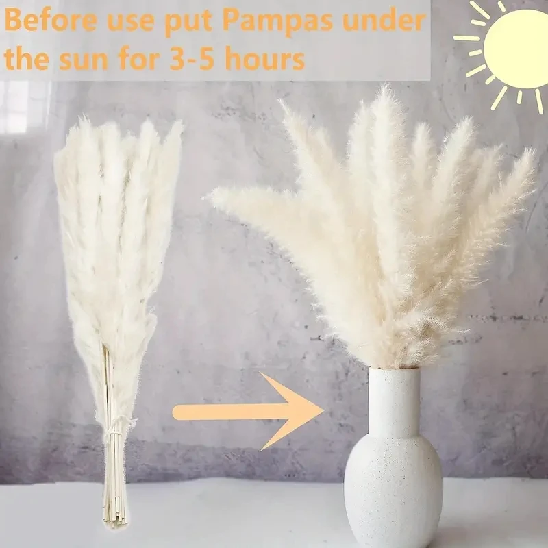 

60PCS Natural Fluffy Pampas Grass Phragmites Rabbit tail Grass Bouquet Boho Style Home Office Flower Arrangement Vase Decoration