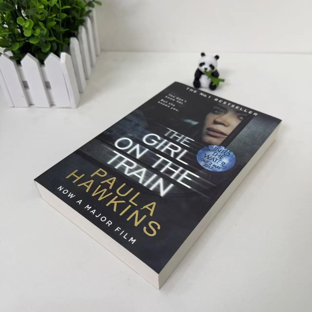 The Girl on the Train, a thrilling and suspenseful English novel