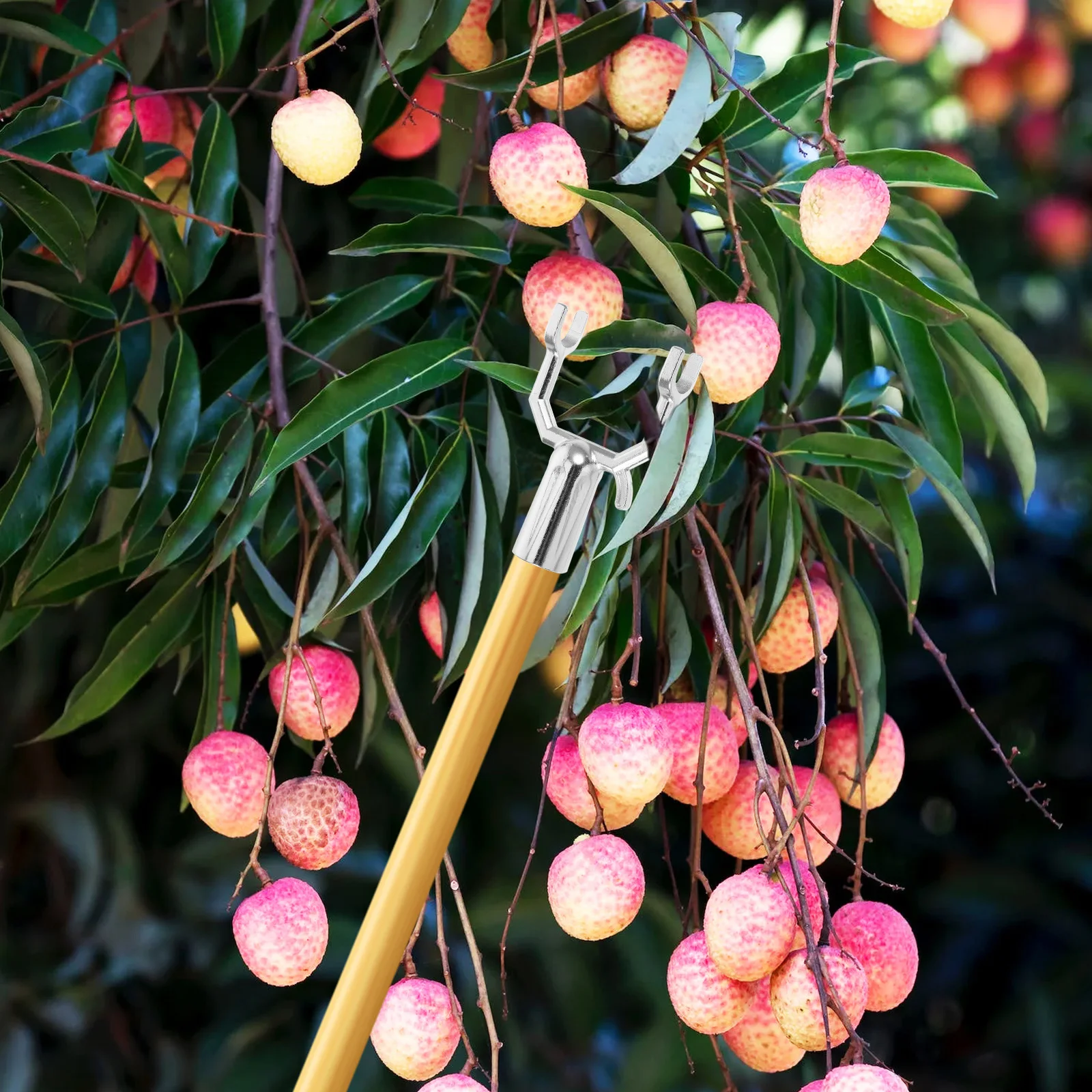 

10 pcs Fruit Tree Support Fork Metal Garden Branch Stakes Propping Device Resistant Plant Cage Stand
