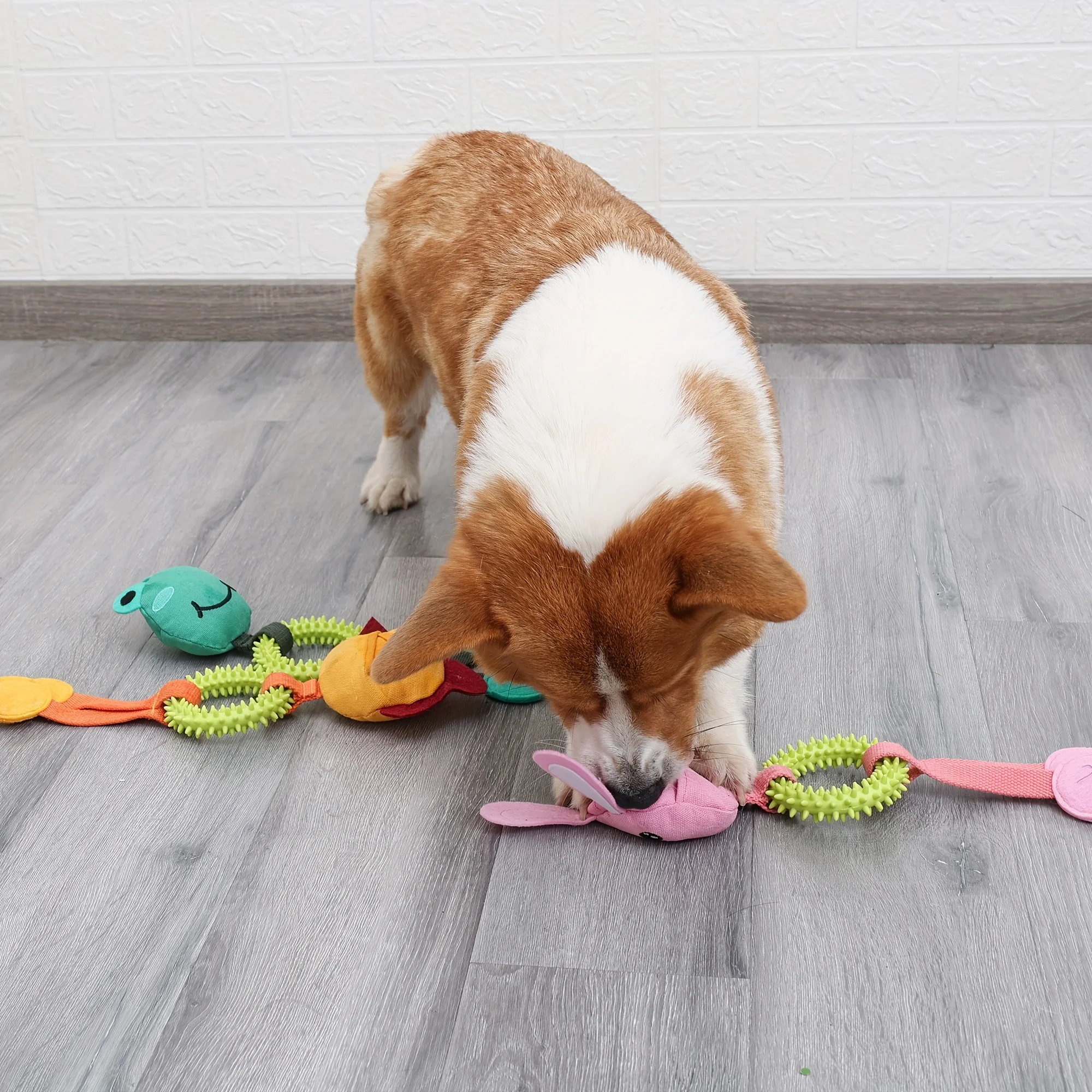 ألعاب الحيوانات الأليفة، طحن أسنان الكلاب، إخفاء الطعام، ألعاب الاستنشاق، ألعاب منزلية للترفيه والكلاب الأليفة، مستلزمات الحيوانات الأليفة