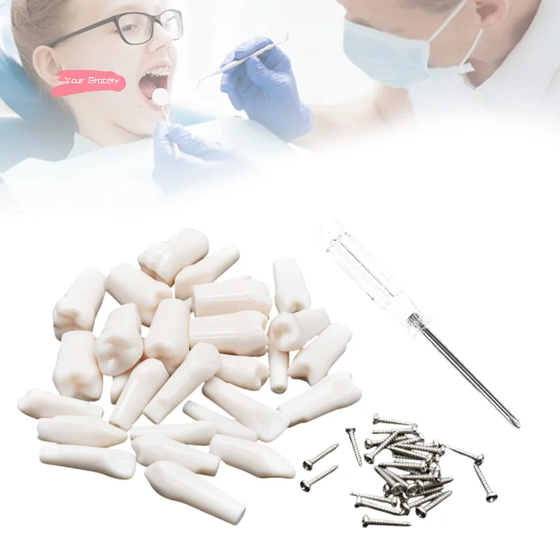 

28/32 шт., зубная смола для зубов Typodont, тренировочное пособие, съемная индивидуальная ввинчивающаяся сменная модель для практики протезов для стоматологии