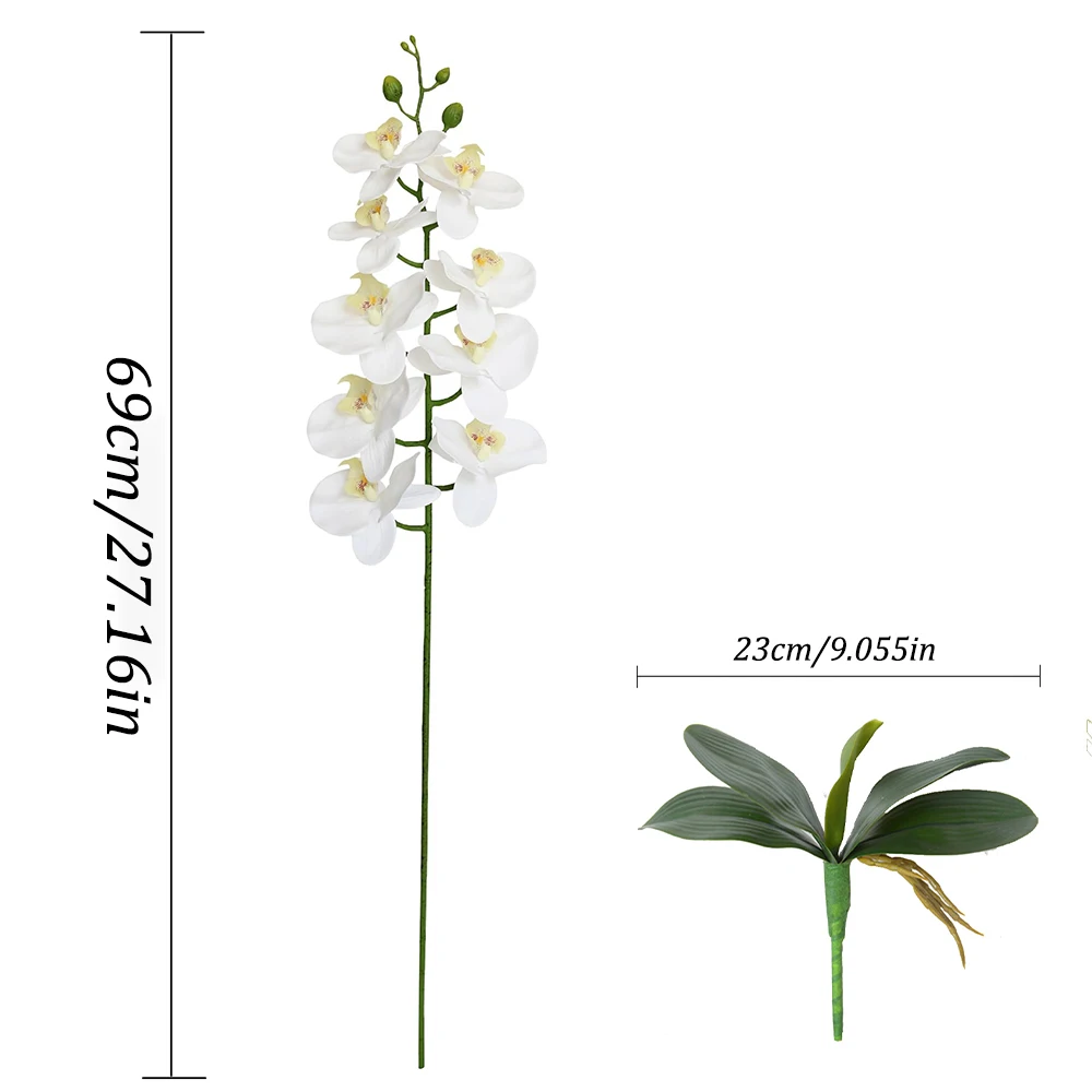 Thumbnail 4 - #17 Latest Vase Fillers Offers