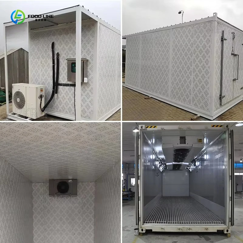 Customized 20ft 40ft Container Cold Room Mobile Cold Storage For Food Preservation