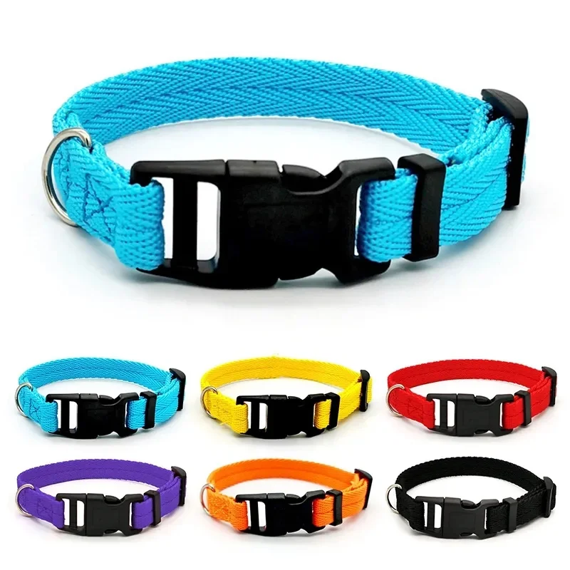 Nylon Webbing Dog Collar, Heavy Duty, Clip Buckle, Pet Collar para cães pequenos e médios, Chihuahua, vermelho, preto, azul, roxo