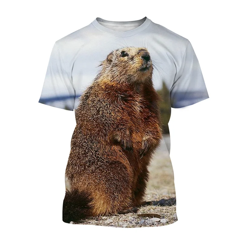 Cute Animal Groundhog 3d Printing T Shirt For Men Kids Casual Street Short-sleeved T-shirt Tops Summer Street Oversized Tees