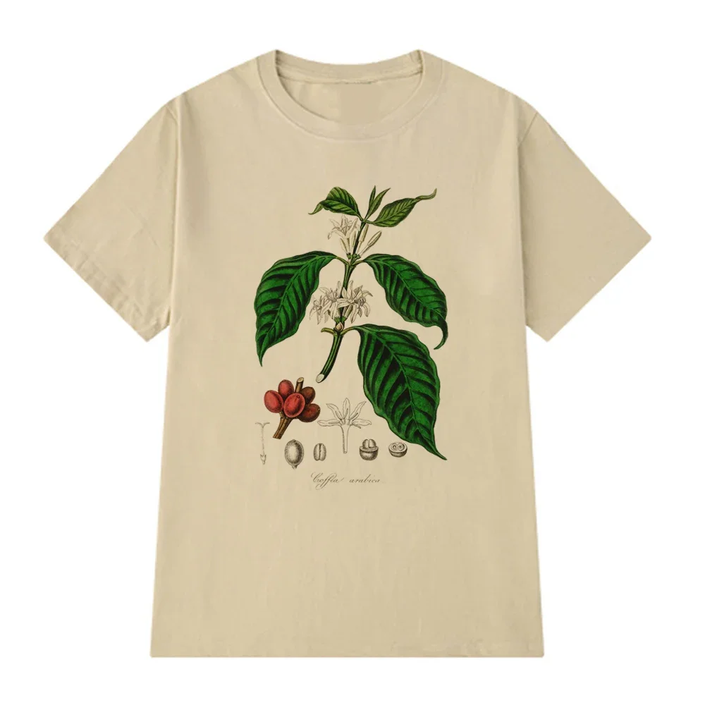 Retro Kaffee-Pflanzen-Illustrationsmuster Damen T-Shirt Kurzarm-Design. Damenbekleidung Mode Grafik T-Shirts Persönlichkeit