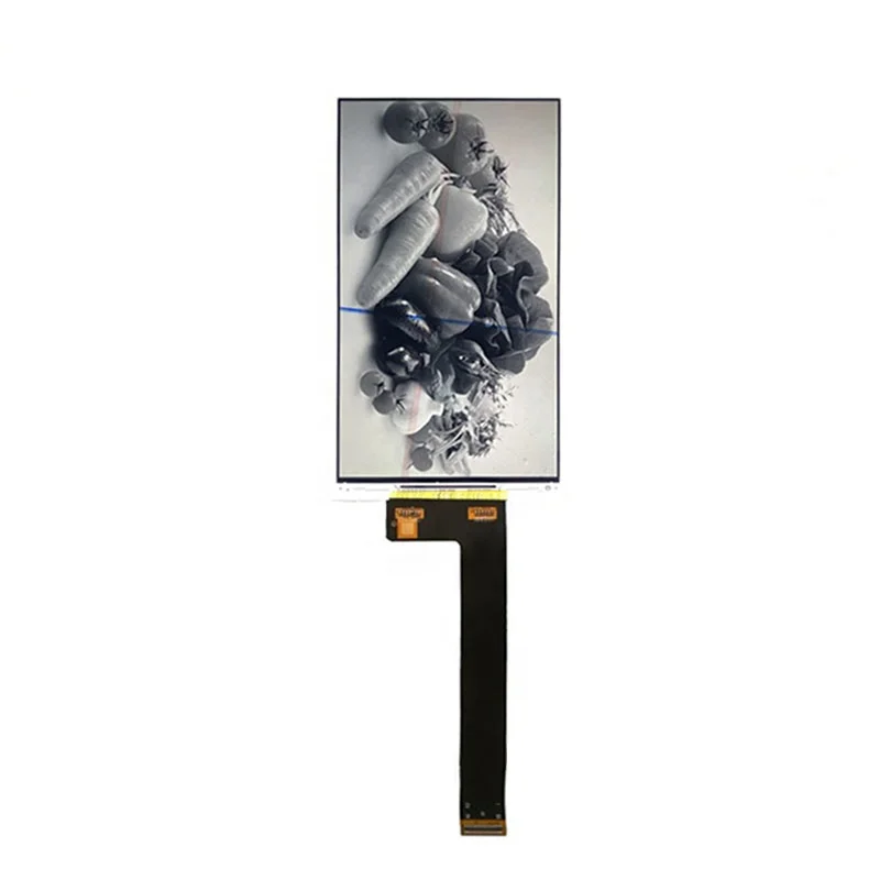 5.5 Inch 1080*1900 Monochrome LCD Without Backlight X-ray Machine Armarium 5.5 Inch Mono LCD Display 3D Printer Display