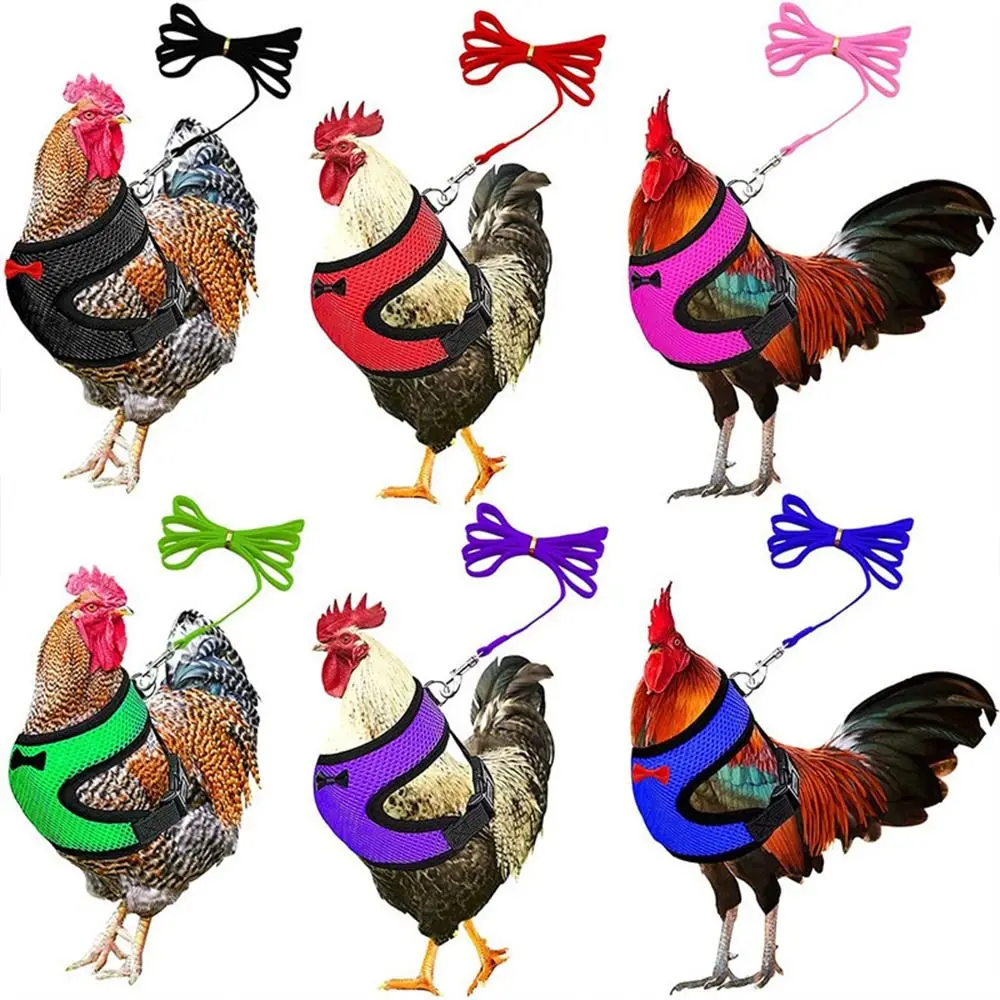Portable Breathable Adjustable Duck Chicken Harness Comfortable Matching Collars Duck Vest Bow Soft Pet Harness Duck