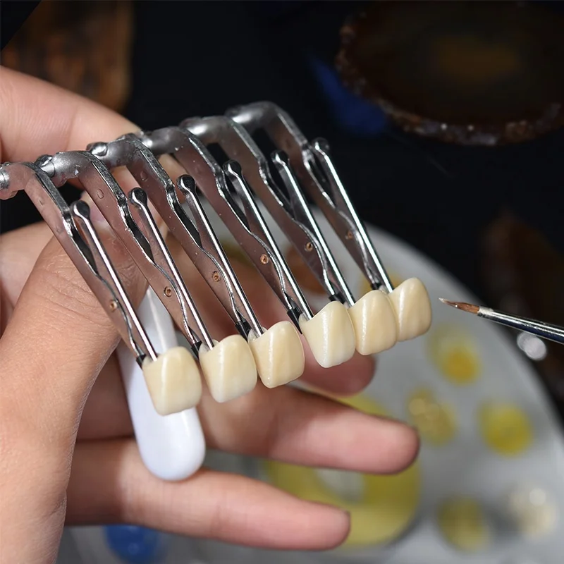 

False Teeth Clips for Dentals Technician Applying Ceramics Glaze