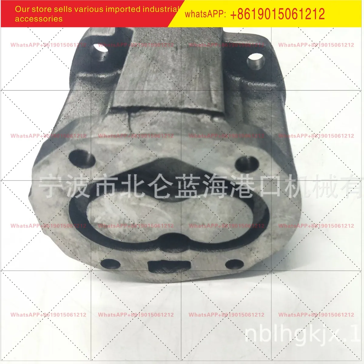 Stacker front hanging walking pump 249584