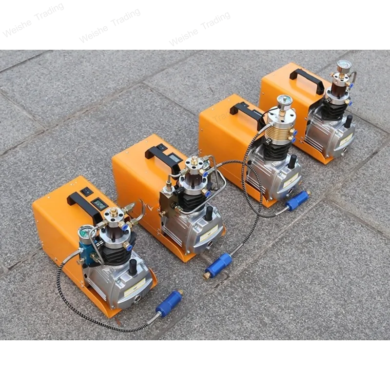 4500Psi 300Bar 30MPA  220V 110V Pcp Air Compressor Electric High Pressure Pump for Pneumatic PCP Rifle Airgun Scuba Inflator