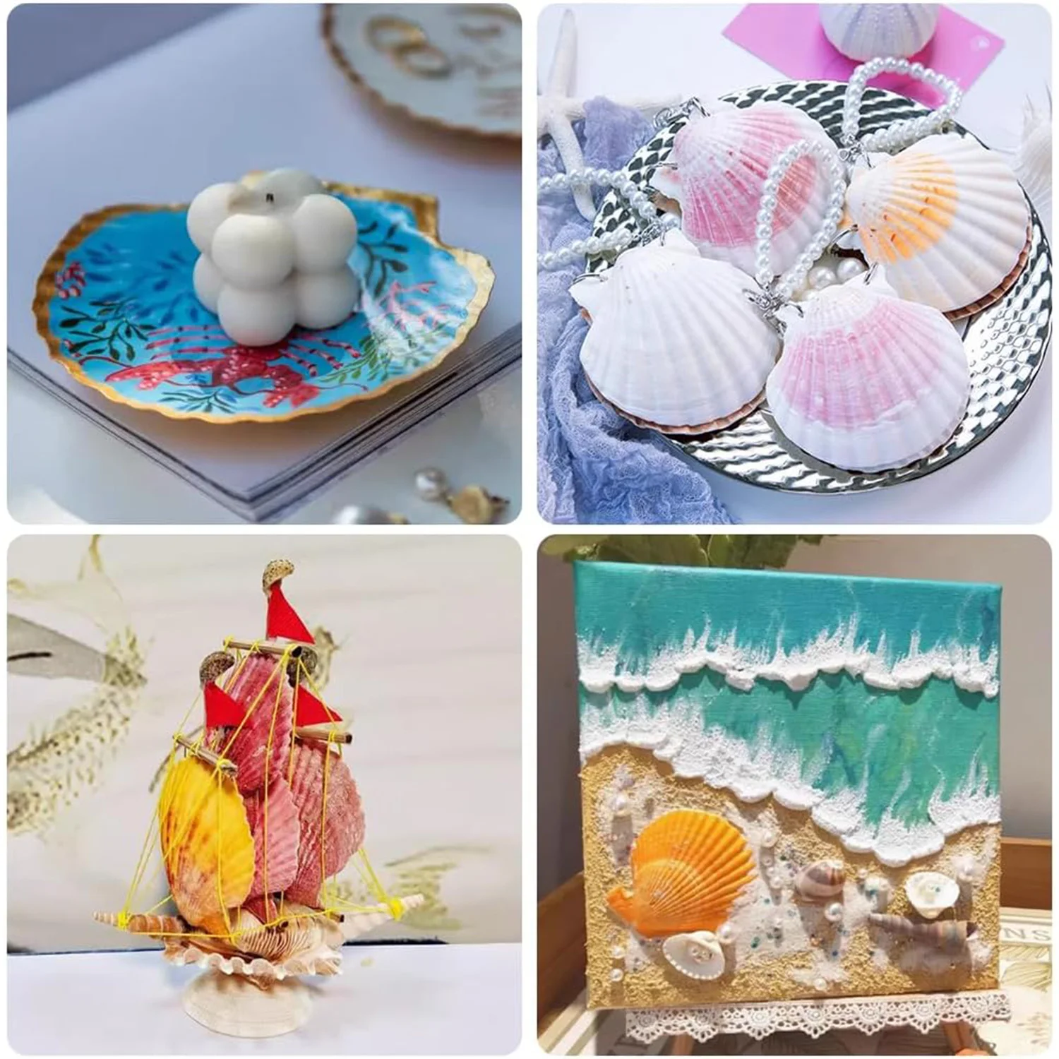 18PCS Natural Scallop Shells, Suitable for Handmade DIY Painting, Baking, Beach Weddings and Home Decoration (Two Size Ranges)