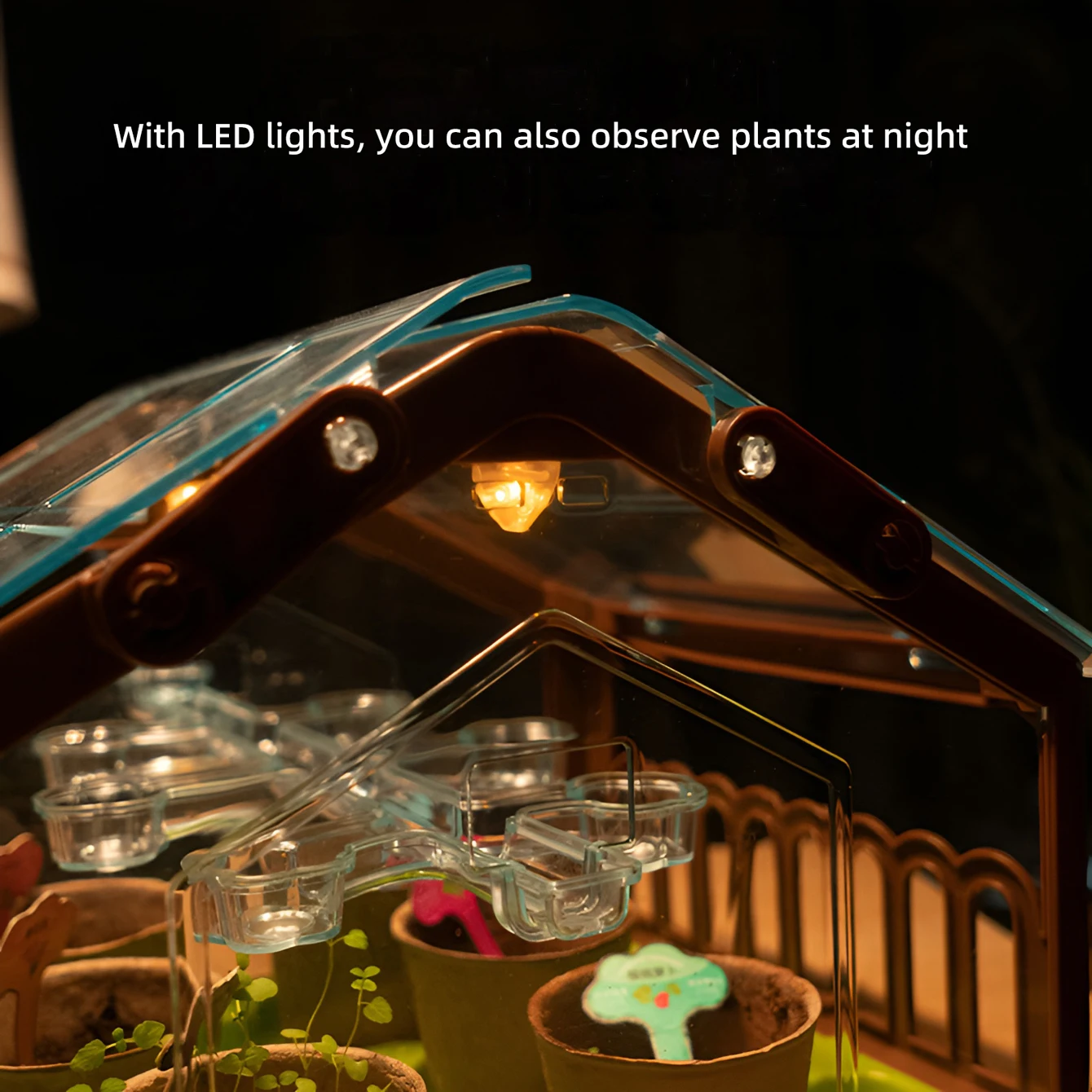 DIY science experiments for children and students: Growing vegetables, potted plants, observing plant growth, and planting toys