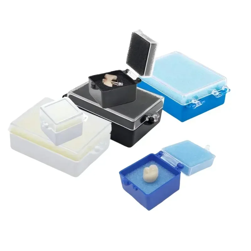 50pcs S Size Denture Sponge Retainer Case Implant Denture Crown Veneer Fake Teeth Storage Box with Foam Fake Teeth Case