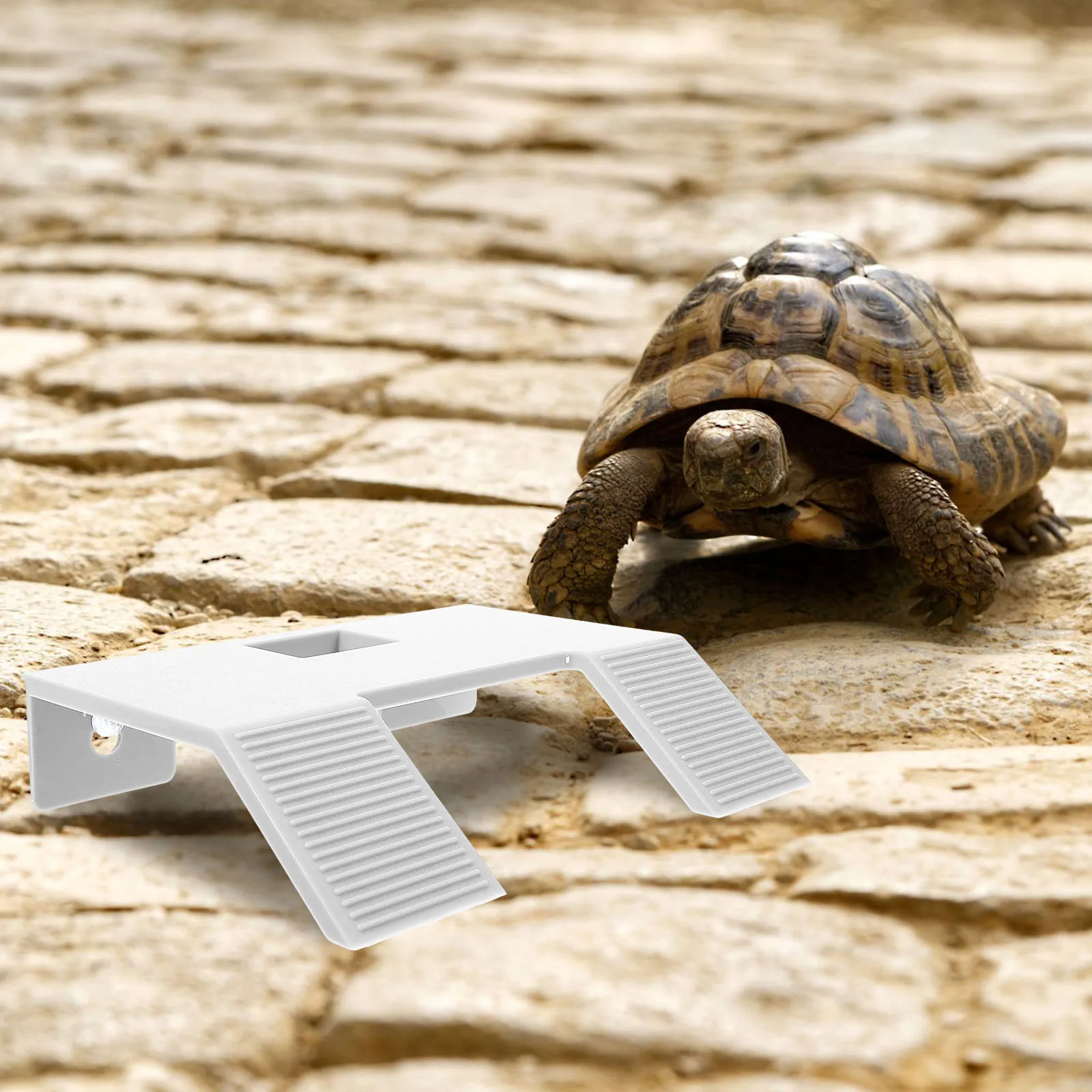 

Turtle Tank Basking Platform Plastic Floating Terrace for Turtle Climbing Sun Resting Area Reptile Tank Landscaping Decor Supply