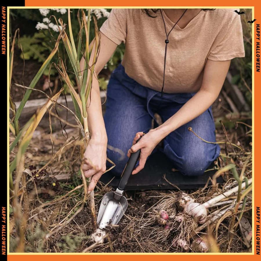 ハンドトロウェル - 植栽、除草、掘削用の人間工学に基づいたグリップを備えたガーデンツール - ブラック/シルバー仕上げ