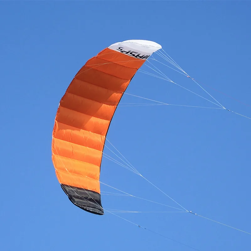 Cerfs-volants géants parachutistes pour adultes, kitesurf, kitesurf, parachute, guêpes, quadriligne, livraison gratuite