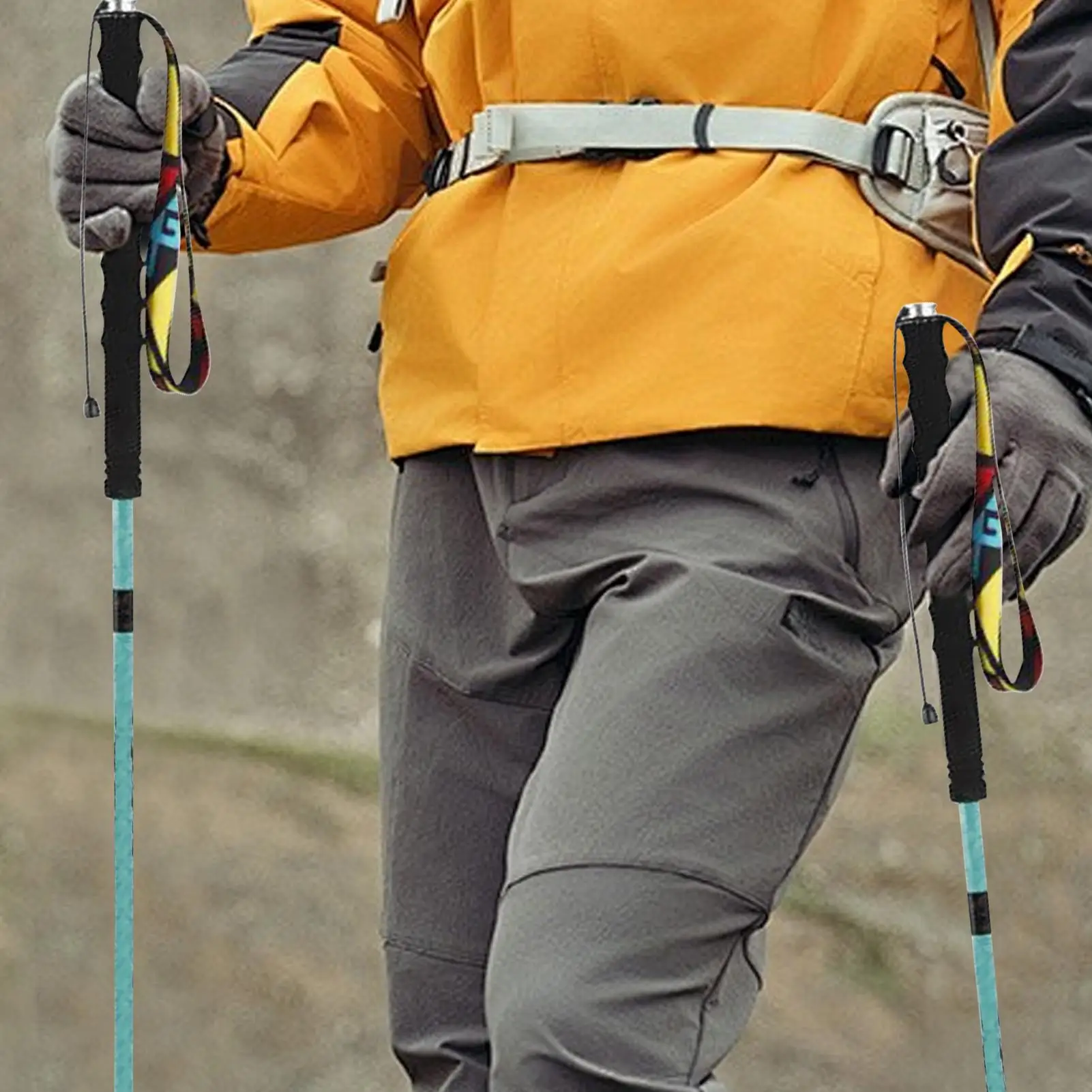 

Hiking Sticks Climbing Sticks Portable Quick Lock System Retractable Pole For Men Women Climbing Running Backpacking Hiking