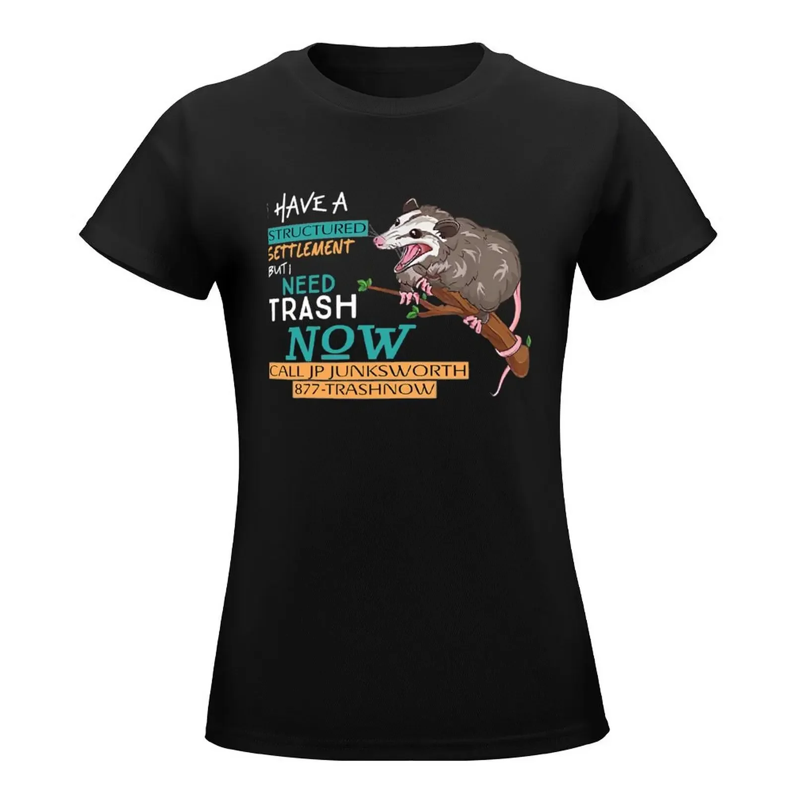 I Have A Structured Settlement But I Need Trash Now Funny T-Shirt summer clothes tops summer tops Women tops