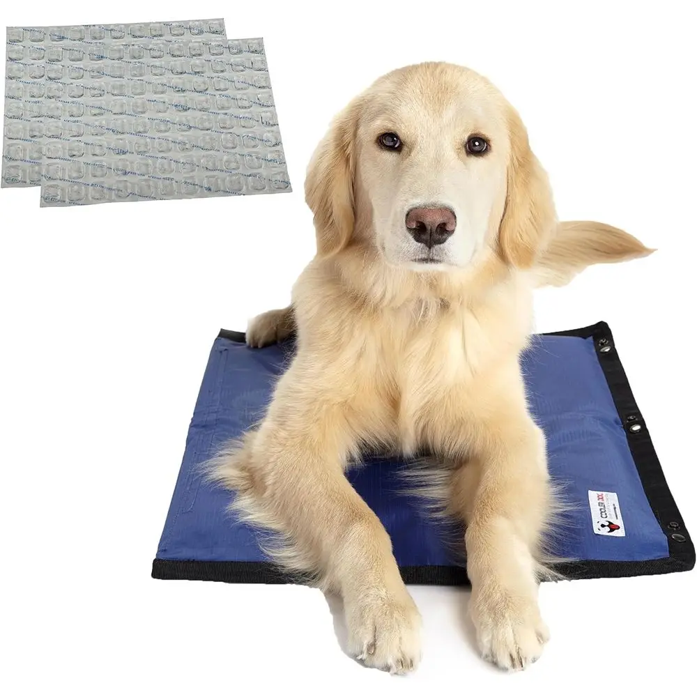 

Chilled Hydro Mat with 2 Reusable Ice Sheets for Dogs